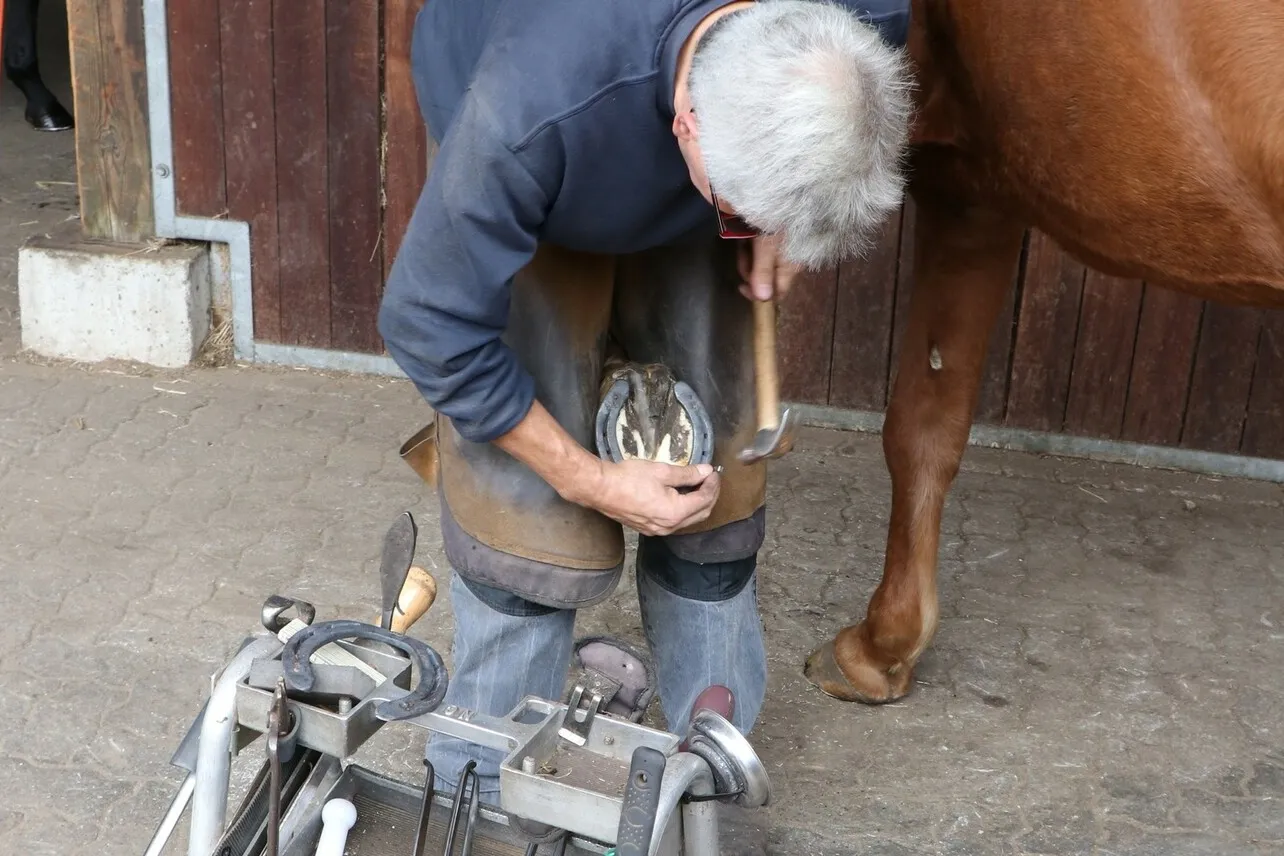 Ein Mann beim Anbringen eines Hufeisen am Huf eines Pferdes.